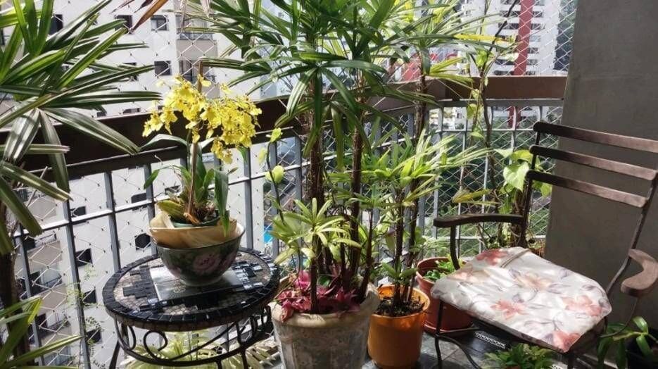 Apartamento de 150 m² na Vila Andrade · foto 7 de 15