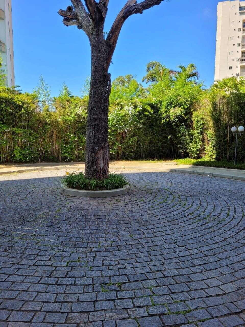 Apartamento de 217 m² com terraço na Vila Suzana · foto 77 de 94