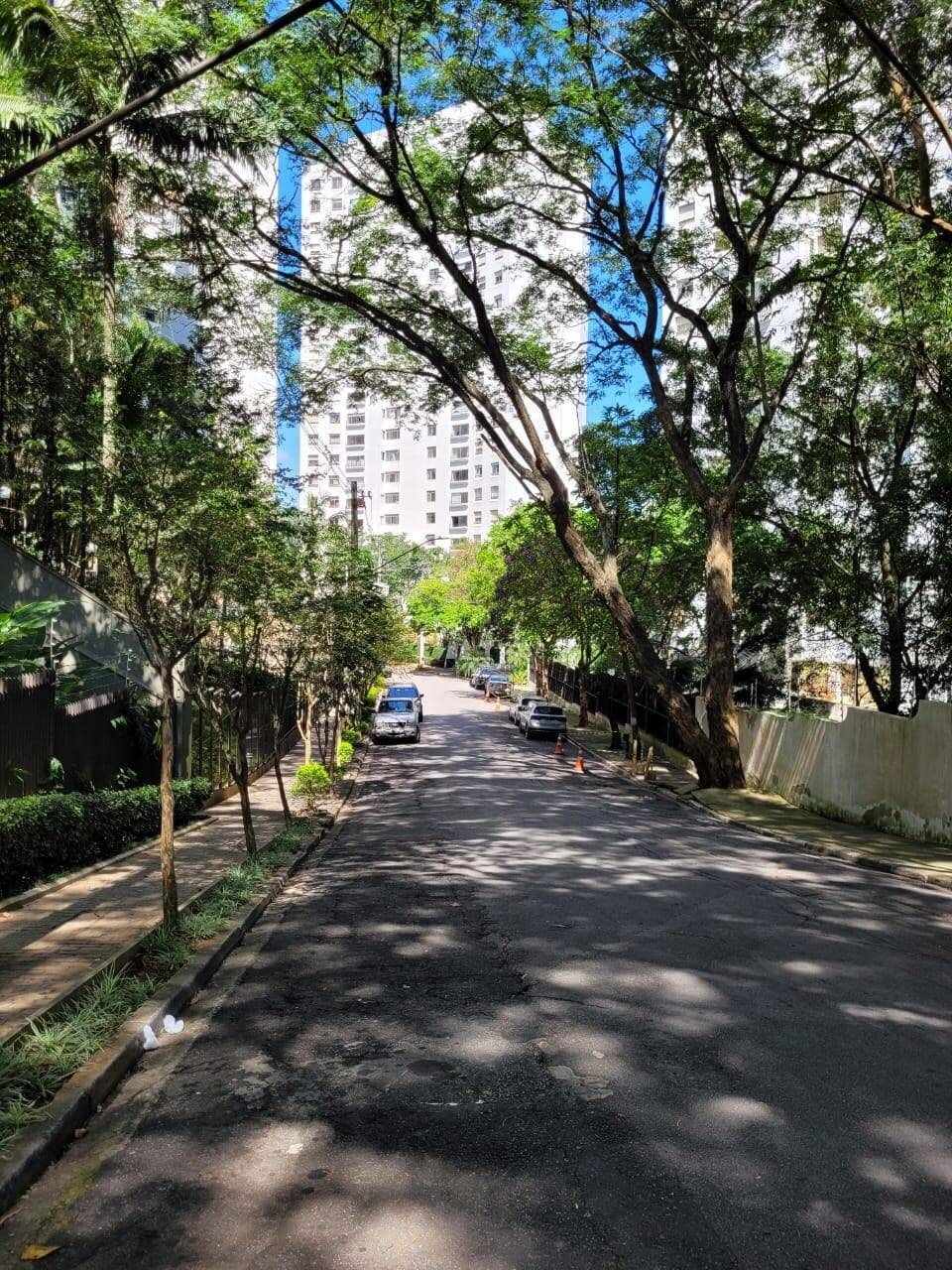 Apartamento de 217 m² com terraço na Vila Suzana · foto 84 de 94