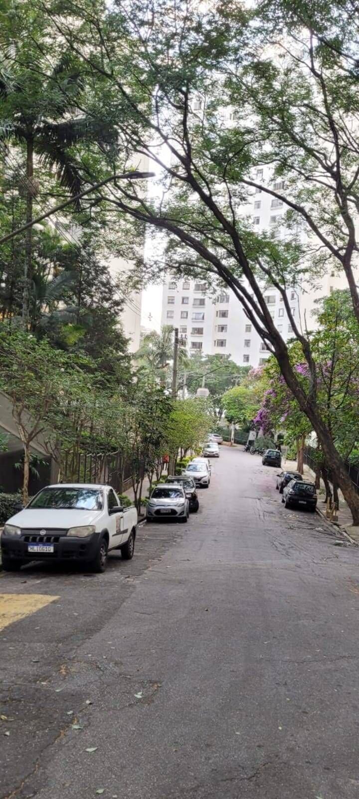 Apartamento de 217 m² com terraço na Vila Suzana · foto 89 de 94