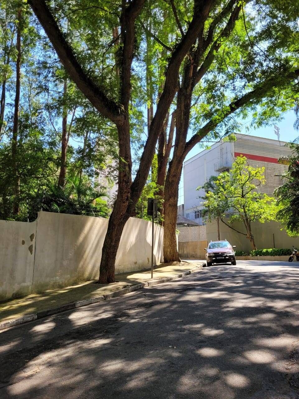 Apartamento de 217 m² com terraço na Vila Suzana · foto 93 de 94