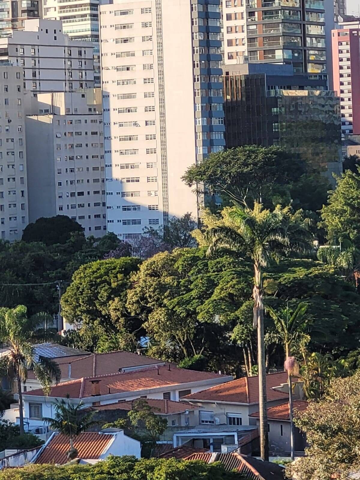 Apartamento de 167 m², um por andar, nos Jardins — foto 6 de 6