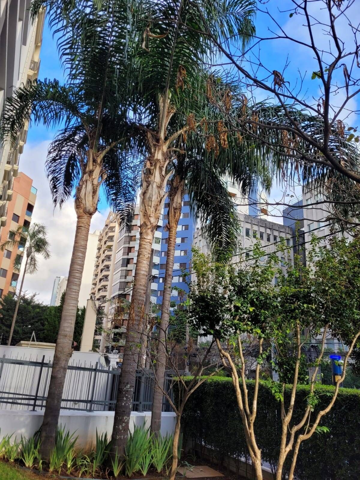 Duplex de 160 m² com terraço panorâmico no Brooklin · foto 39 de 43