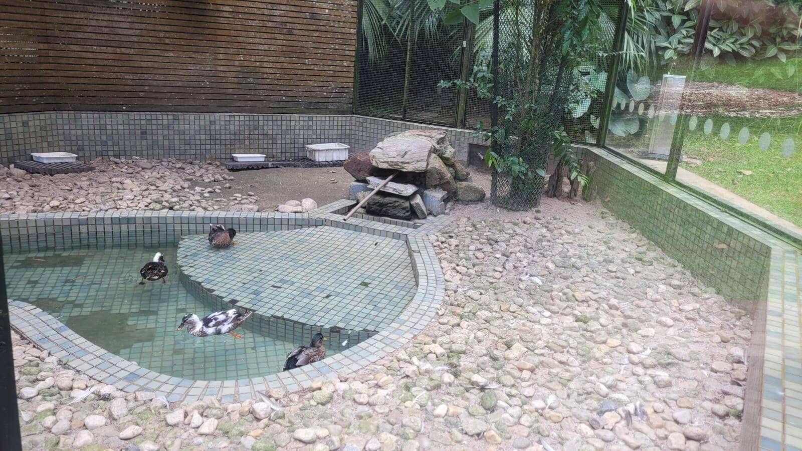Apartamento reformado de 140 m² no Portal do Morumbi · foto 26 de 30