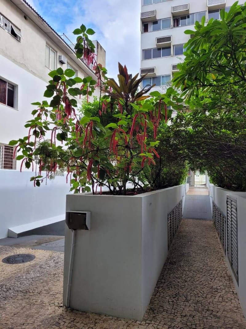 Apartamento de 130 m², um por andar, no Grajaú — foto 4
